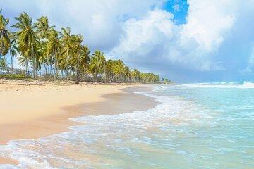 Saona Island Adventure From Santo Domingo