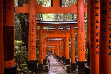 Full Day Kyoto & Nara Tour