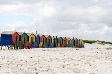 5 Day Cape Town, Winelands and Wildlife Tour