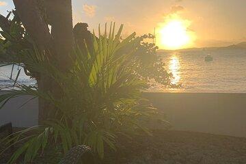 Semi Secret Food Tour Adventure in St. John U.S. Virgin Island