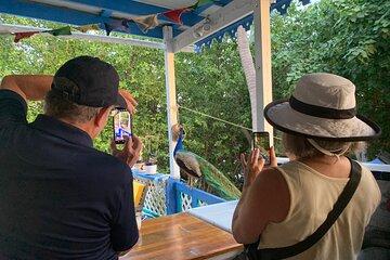 Shared St. John U.S. Virgin Islands Tour