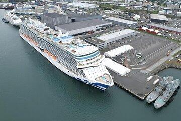 Cruise Port Private Transfer to Keflavik Airport
