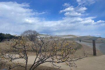 North Ibaraki Tour Lunch & Entrance fee included
