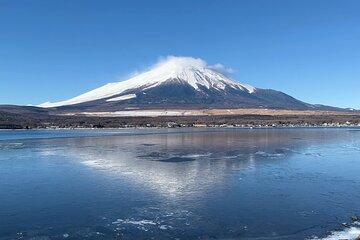 Mt. Fuji and Lake Kawaguchiko 1 Day Private Car Tour
