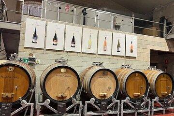 Wine Tasting and Tour of the oldest winery in the Alicante region