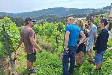 Gastronomy tour with tastings - small groups