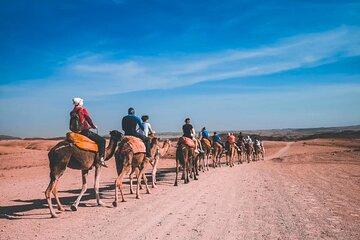 Marrakech Agafay Desert Camel Riding and Diner Shows