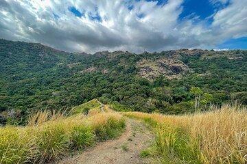 Discover Fiji's Key Attractions in Nadi for a Half-Day Visit