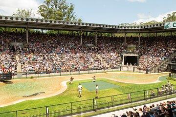 Croc Express Transfers to Australia Zoo from Gold Coast