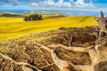 Terevaka: The Highest Point of the Island
