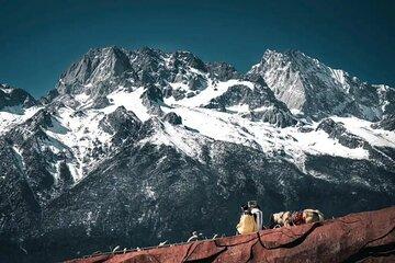 Jade Dragon Snow Mountain Glacier Park + Impression Lijiang