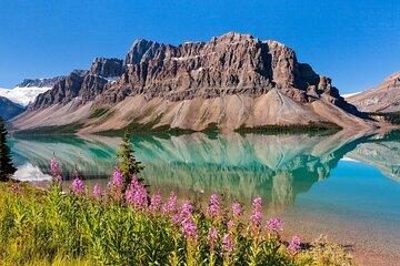 Banff National Park Tour with a Small Group