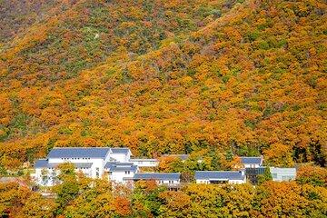 Sasayama Castle and Pottery Tour from Kyoto