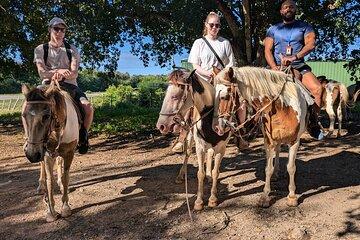 Cave Horseback Ride and Beach Guided Experience