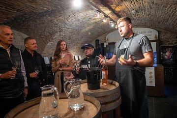 Slovakian Wine Tasting Experience Bratislava