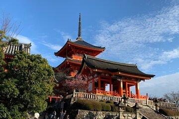 Kyoto Fushimi Inari and Kiyomizu Temple Highlight Walking Tour