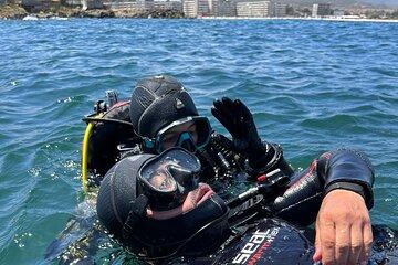 Diving in Pichidangui and Los Molles