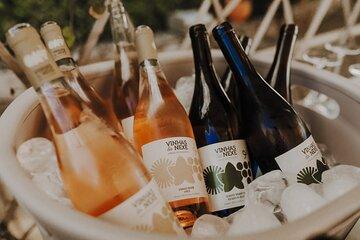 Trivial Tasting with Tasting of 3 Wines in Santa Bárbara de Nexe