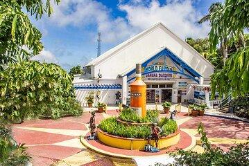 Prince Taxi and Island tours in St.thomas US Virgin Island
