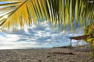 V.I.P Escape 3-North Caribbean Beach & award-winning rums