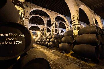 Cadiz and Jerez Private Daytrip from Marbella