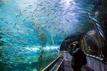 Pattaya Underwater World Admission Ticket