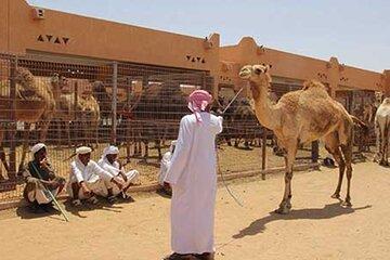 Al Ain Tour with Entry Tickets and Cuisine Buffet from Abu Dhabi