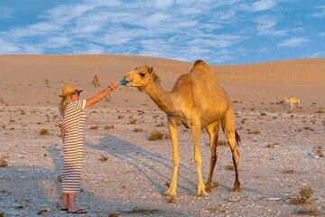 Combo : Dubai Desert Safari & Aya Universe Tickets