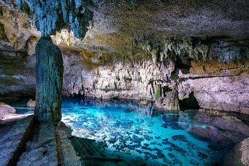 Excursion 4x1 Tulum, Coba, Cenote & 5th Avenue from Riviera Maya