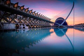 Valencia Private Half Day City Tour