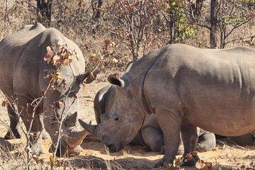 4 Day Experience Rhino Walk in Zambia, Botswana and Zimbabwe
