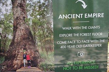 2 Day Tour Busselton Jetty, Ngilgi Cave to Valley of the Giants