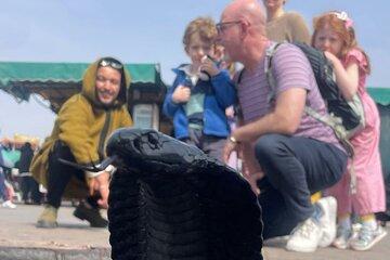 Marrakech Medina Half Day City Tour with Official Guide