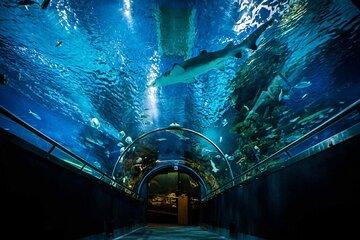 Budapest Tropicarium