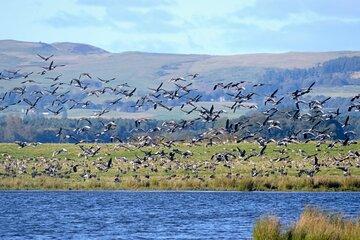 Airborne Loch Leven E-Bike Small Group Tour