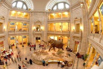Shared Smithsonian Museum Tour Experience