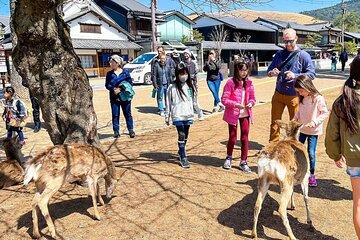 Tailor Made 13 Days Japan Family Vacation for Your Kids