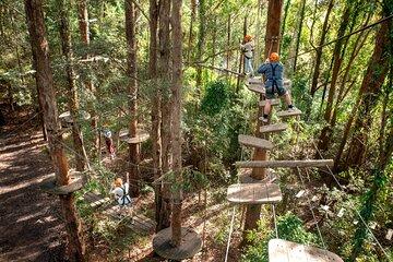 Treetops Adventure Newcastle with Tree Ropes Course