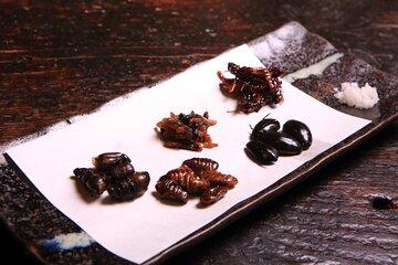 Restaurants in Tokyo Where You Can Eat Exotic Food