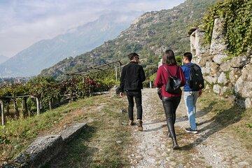 *From Turin* The Forgotten Wine Roads of Piedmont