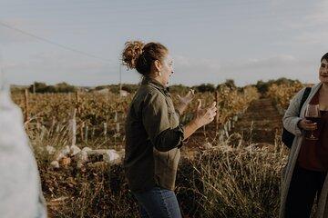 Taste Primorosa Guided Visit Tasting 4 Wines and Tapas