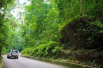 Ocho Rios Highlights and Shopping Tour