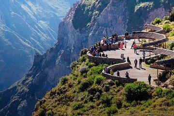 Un día en el Colca desde Chivay con almuerzo Bufé