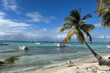 Saona Island Beach and Natural Pool Bliss Day Tour