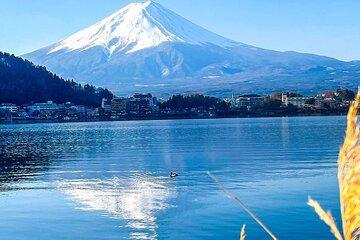 Kagoshima Bus Tour with Shiroyama Observatory Visit