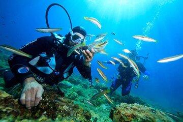 Nha Trang Scuba Diving Adventure