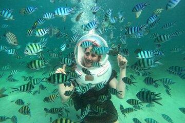 Nha Trang Bay Sea Walk Adventure & Traditional Seafood Lunch