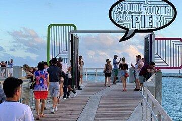 Private 4 Hour Miami Tour Walk and Ride in a Limousine Van