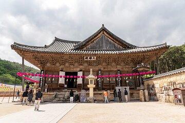 Private Busan Tailor made Tour with Tongdosa Buddhist Temple