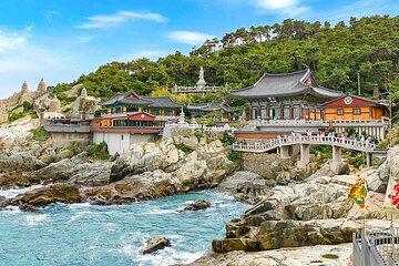 Private 6 Days South Korea Family Tour from Seoul